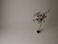 /album/design/dsc-0120-jpg/